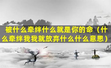 被什么牵绊什么就是你的命（什么牵绊我我就放弃什么什么意思）