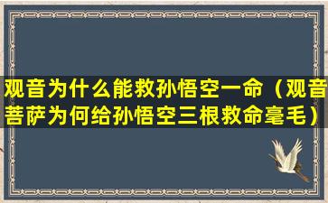 观音为什么能救孙悟空一命（观音菩萨为何给孙悟空三根救命毫毛）