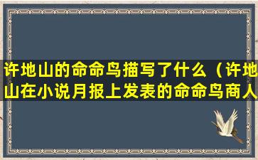 许地山的命命鸟描写了什么（许地山在小说月报上发表的命命鸟商人妇等作品）