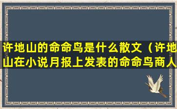 许地山的命命鸟是什么散文（许地山在小说月报上发表的命命鸟商人妇等作品）