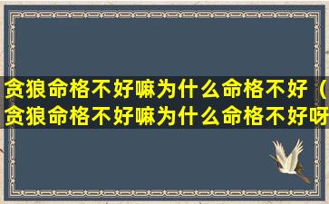 贪狼命格不好嘛为什么命格不好（贪狼命格不好嘛为什么命格不好呀）