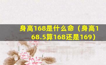 身高168是什么命（身高168.5算168还是169）