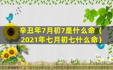 辛丑年7月初7是什么命（2021年七月初七什么命）