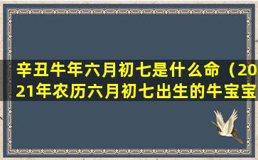 辛丑牛年六月初七是什么命（2021年农历六月初七出生的牛宝宝好吗）