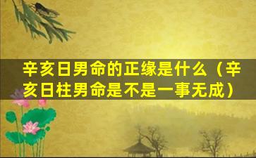 辛亥日男命的正缘是什么（辛亥日柱男命是不是一事无成）