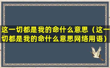 这一切都是我的命什么意思（这一切都是我的命什么意思网络用语）