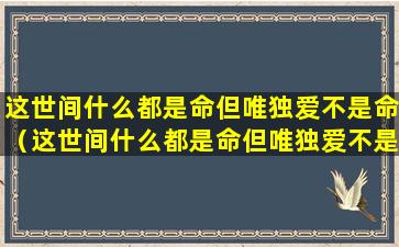 这世间什么都是命但唯独爱不是命（这世间什么都是命但唯独爱不是命什么意思）