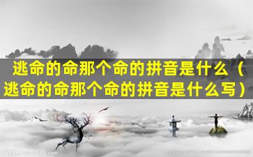 逃命的命那个命的拼音是什么（逃命的命那个命的拼音是什么写）