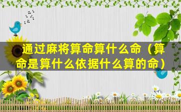 通过麻将算命算什么命（算命是算什么依据什么算的命）