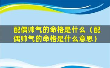 配偶帅气的命格是什么（配偶帅气的命格是什么意思）