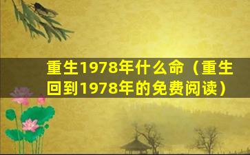 重生1978年什么命（重生回到1978年的免费阅读）