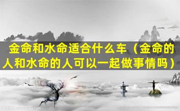 金命和水命适合什么车（金命的人和水命的人可以一起做事情吗）