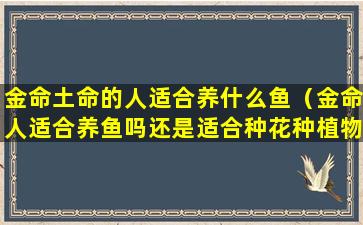 金命土命的人适合养什么鱼（金命人适合养鱼吗还是适合种花种植物）