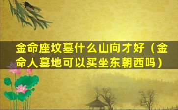 金命座坟墓什么山向才好（金命人墓地可以买坐东朝西吗）