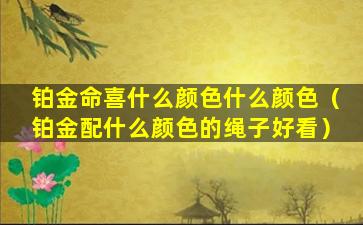 铂金命喜什么颜色什么颜色（铂金配什么颜色的绳子好看）