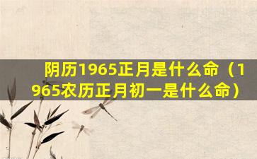 阴历1965正月是什么命（1965农历正月初一是什么命）