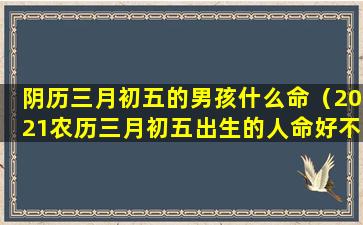 阴历三月初五的男孩什么命（2021农历三月初五出生的人命好不好）