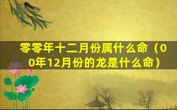 零零年十二月份属什么命（00年12月份的龙是什么命）