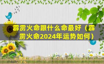 霹雳火命跟什么命最好（霹雳火命2024年运势如何）