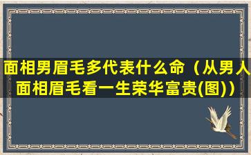 面相男眉毛多代表什么命（从男人面相眉毛看一生荣华富贵(图)）