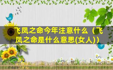 飞凤之命今年注意什么（飞凤之命是什么意思(女人)）