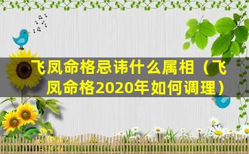 飞凤命格忌讳什么属相（飞凤命格2020年如何调理）