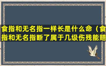 食指和无名指一样长是什么命（食指和无名指断了属于几级伤残能赔付多少钱）