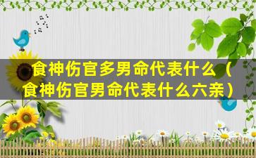 食神伤官多男命代表什么（食神伤官男命代表什么六亲）