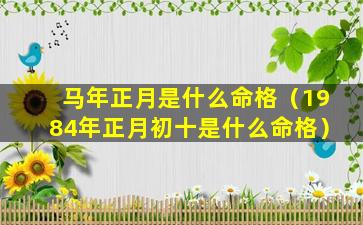 马年正月是什么命格（1984年正月初十是什么命格）