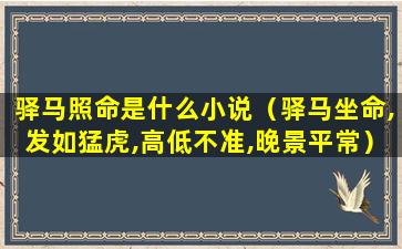 驿马照命是什么小说（驿马坐命,发如猛虎,高低不准,晚景平常）