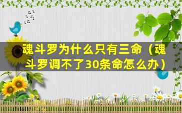 魂斗罗为什么只有三命（魂斗罗调不了30条命怎么办）