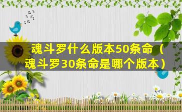 魂斗罗什么版本50条命（魂斗罗30条命是哪个版本）