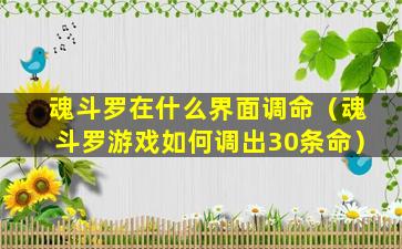 魂斗罗在什么界面调命（魂斗罗游戏如何调出30条命）