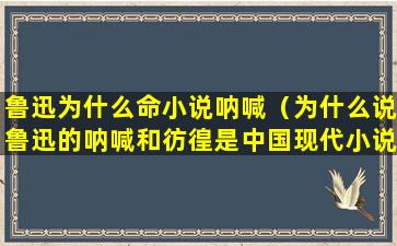 鲁迅为什么命小说呐喊（为什么说鲁迅的呐喊和彷徨是中国现代小说的开端和标志）