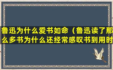 鲁迅为什么爱书如命（鲁迅读了那么多书为什么还经常感叹书到用时方恨少）