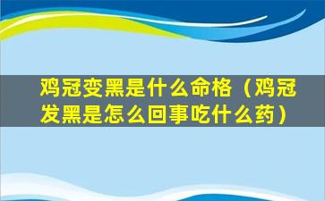 鸡冠变黑是什么命格（鸡冠发黑是怎么回事吃什么药）