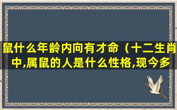 鼠什么年龄内向有才命（十二生肖中,属鼠的人是什么性格,现今多少岁了）