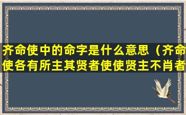 齐命使中的命字是什么意思（齐命使各有所主其贤者使使贤主不肖者使使不肖主的目的）