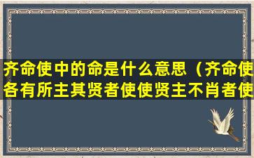 齐命使中的命是什么意思（齐命使各有所主其贤者使使贤主不肖者使使不肖主的意思）