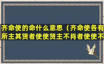 齐命使的命什么意思（齐命使各有所主其贤者使使贤主不肖者使使不肖主的目的）